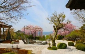 樱花日语留学生采访 为了自己的目标全力以赴