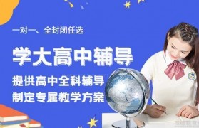 选学大一对一辅导 让学生打败薄弱项