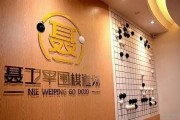 培养围棋小达人 无锡聂卫平绝对是专业的