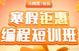 寒假班火爆开启 快来看看小码王少儿编程收费多少