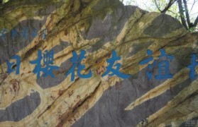 无锡龅牙兔特快专列之爱的旅行——扶桑记
