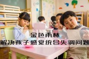 金色雨林感统训练怎么样 周到贴心又细致