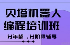 孩子爱的机器人编程 贝塔机器人编程都有