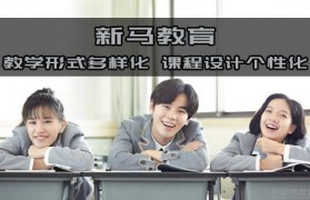 新马教育一对一一般多少钱?贵吗?