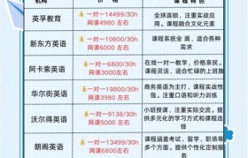 成人英语一对一哪家好 美联英语培训效果如何
