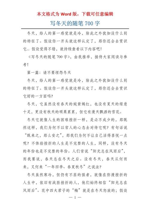 哀伤冬季随笔范文