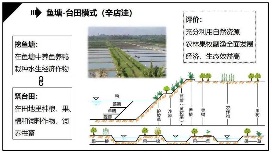 中国耕地轮作休耕：历史、实践与建议
