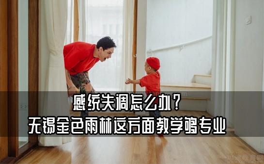 无锡金色雨林感统训练怎么样