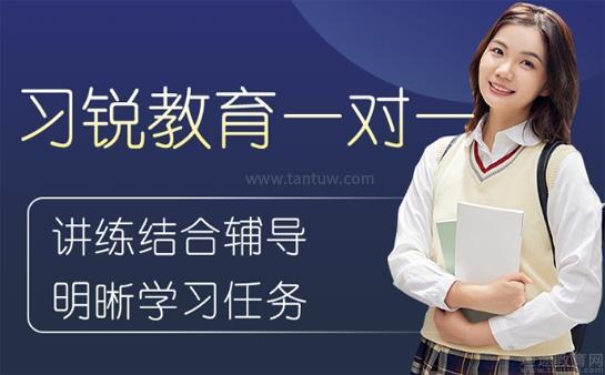 习锐教育高中